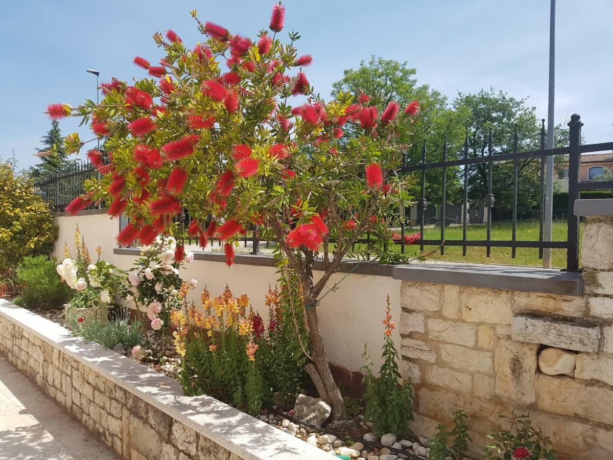 Rooms Siesta Porec Exterior photo